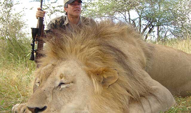 canned hunting
